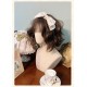 Alice Girl Iris Garden In Spring Standing Neck Blouse(7th Pre-Order/Full Payment Without Shipping)